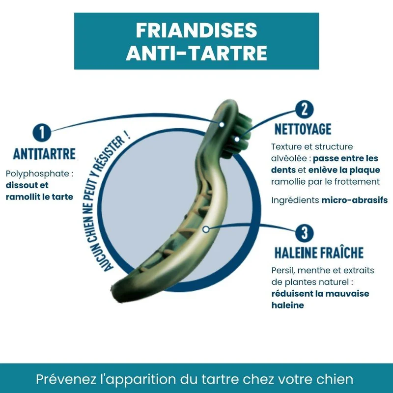 Friandises Anti-Tartre, Sans Sucres, Sans Céréales pour Chien