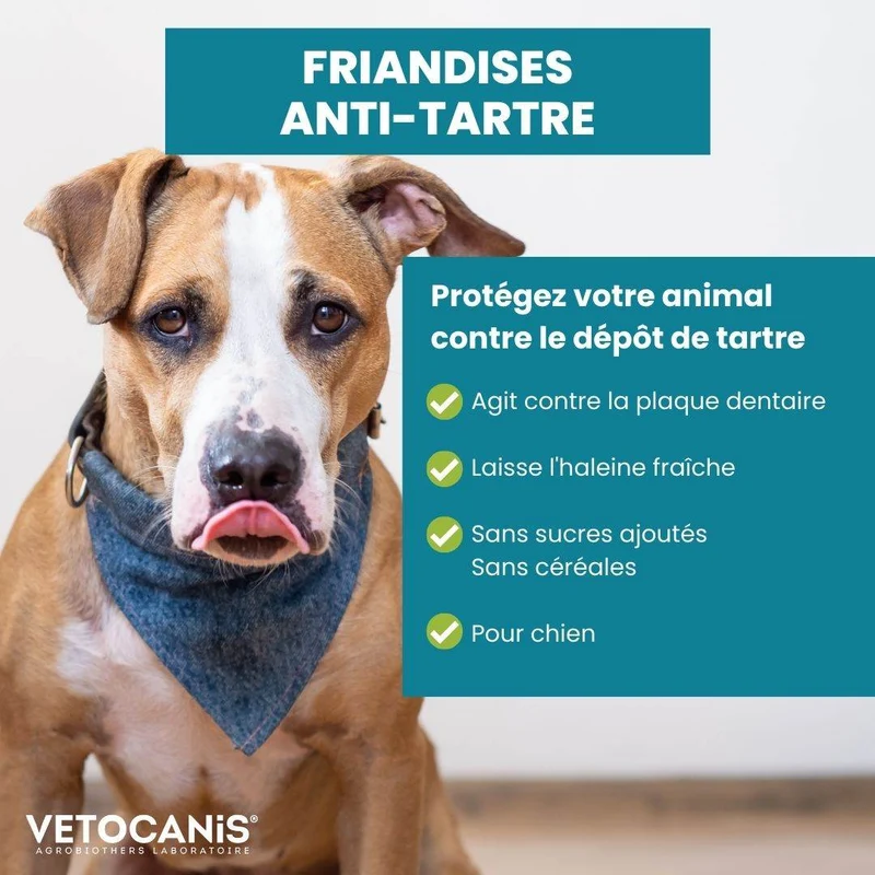 Friandises Anti-Tartre, Sans Sucres, Sans Céréales pour Chien