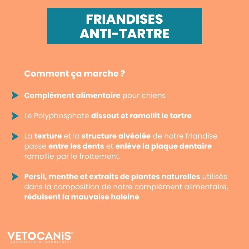 Friandises Anti-Tartre, Sans Sucres, Sans Céréales pour Chien