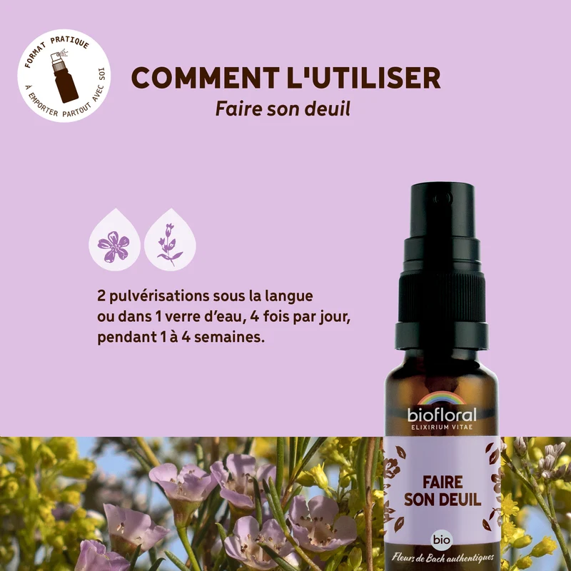 Faire son Deuil - Bio