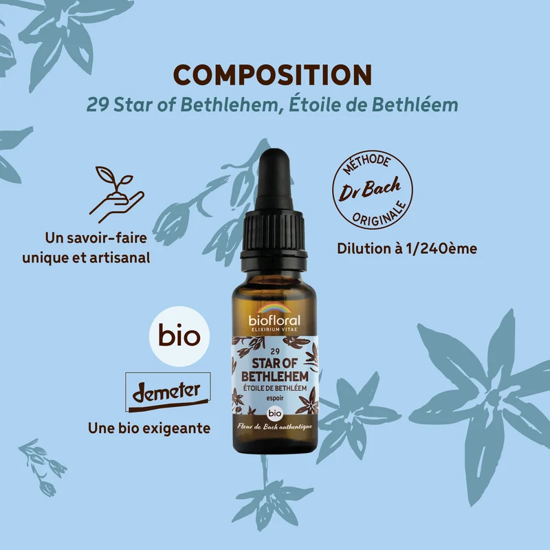Fleur de Bach n°29 Star of Bethlehem, Étoile de Bethléem - Bio Demeter