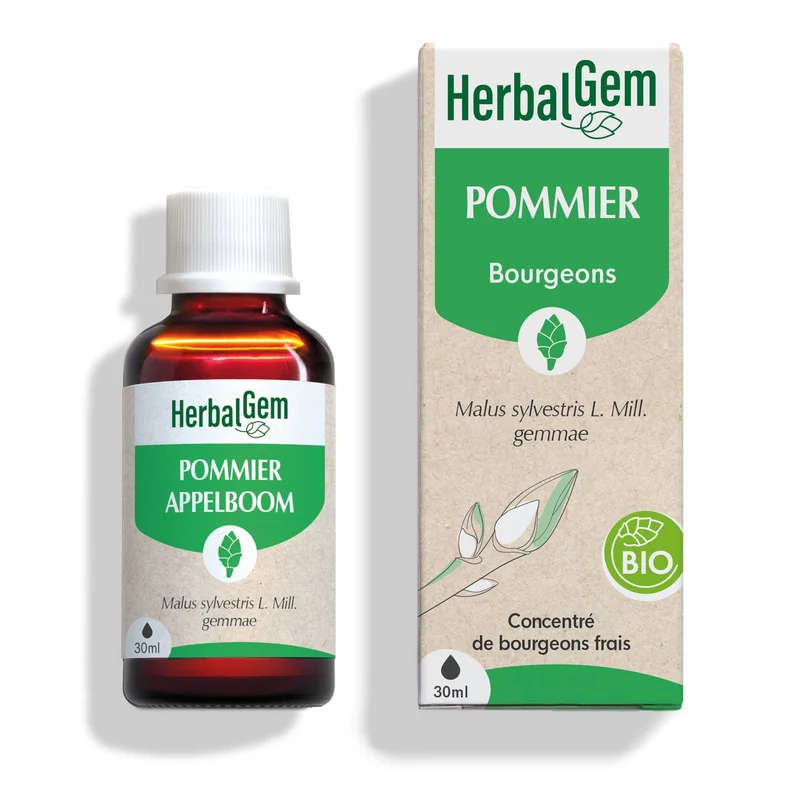 Bourgeon de pommier - Bio