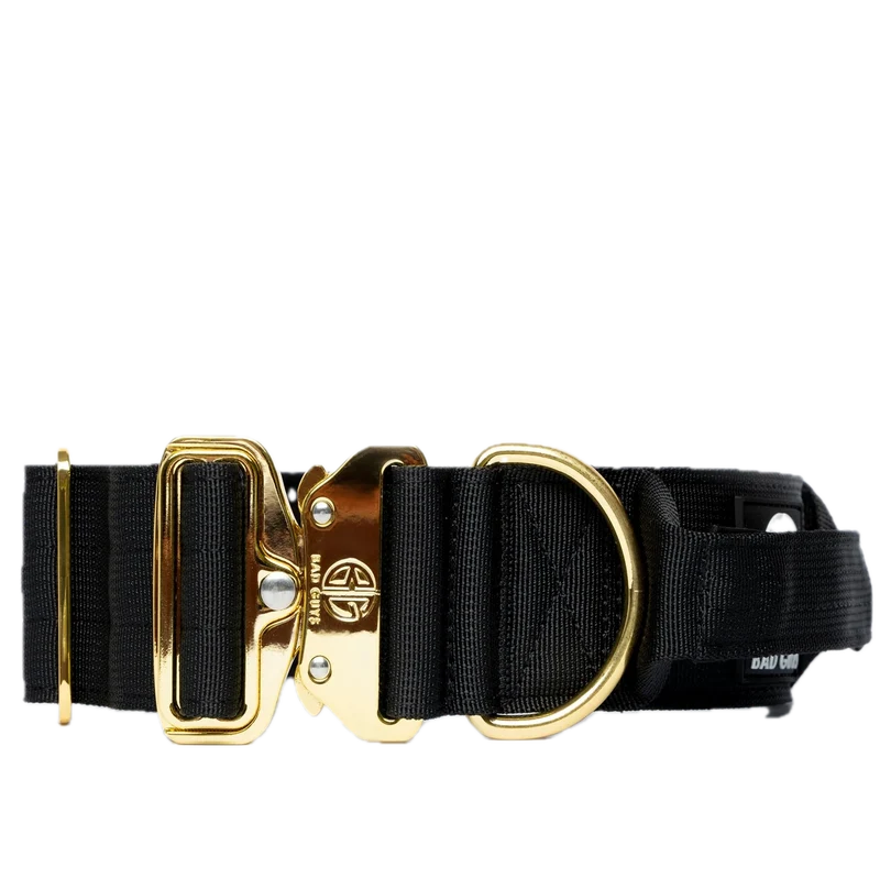 Collier Bad Guys - 5cm - Noir & Or