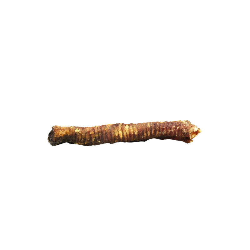 Trachée d'agneau