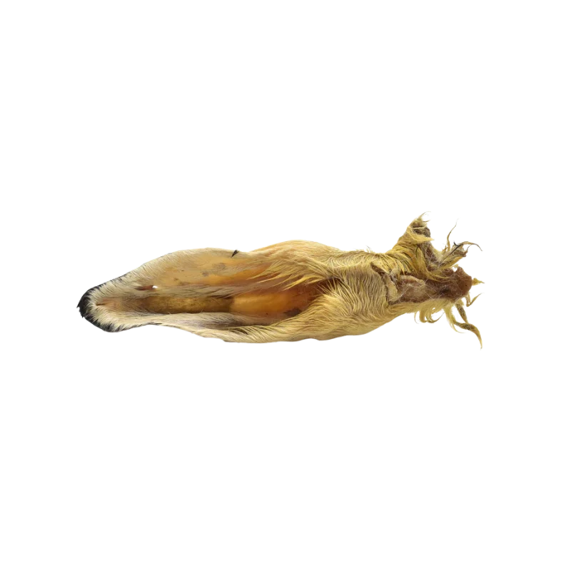 Oreilles d'agneau avec poils