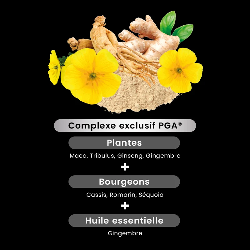 Maca 1500 Tribulus Ginseng Gingembre - 30 comprimés