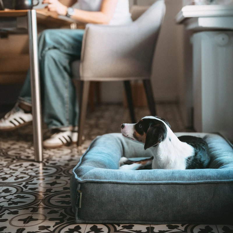 Orthopädisches/Ergonomisches Hundebett Melun