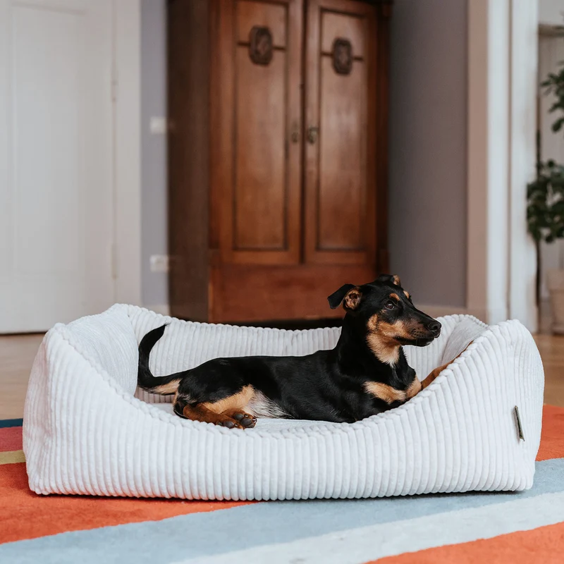 Orthopädisches/Ergonomisches Hundesofa Corbie