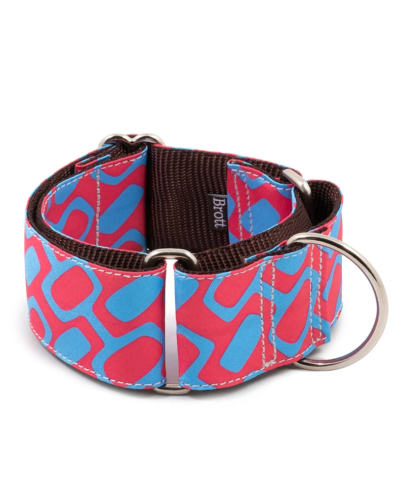 Collar para perro Ceret
