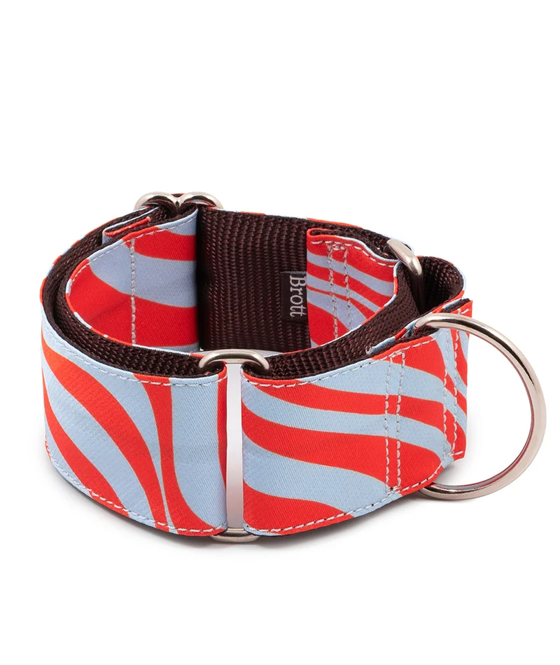 Collar para perro Malniu