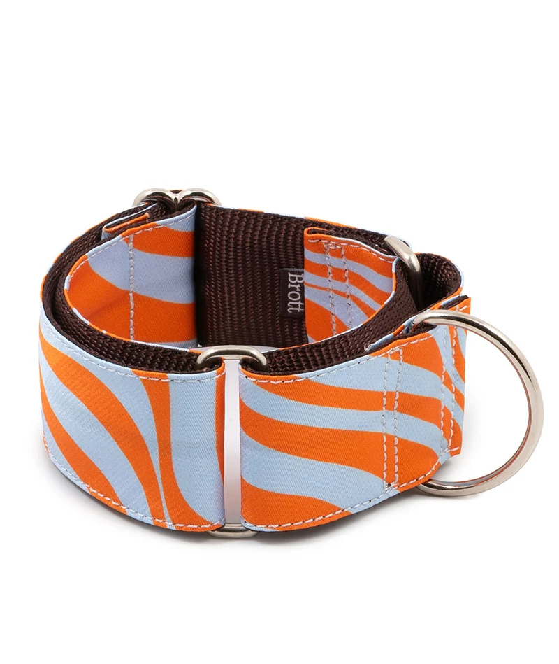 Collar para perro Arbeca