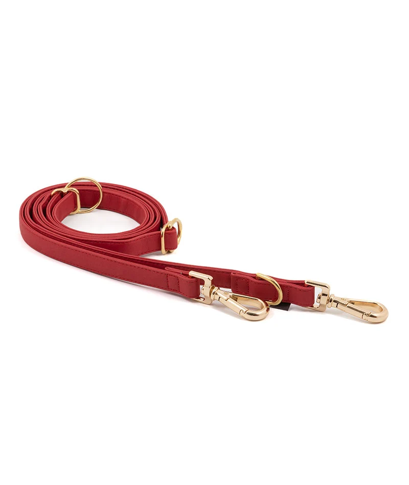 Correa perro Essence Red gold