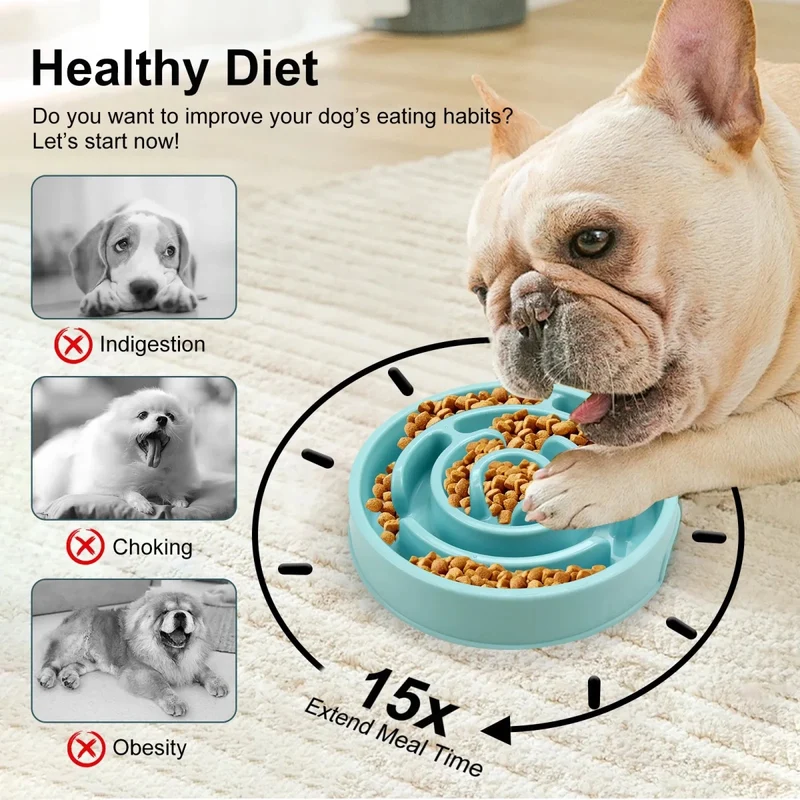 Gamelle anti glouton chien bouledogue francais