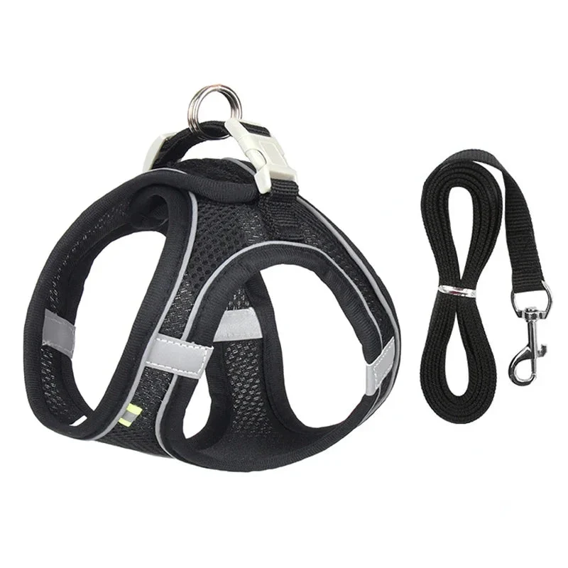 Harnais pour petit chien bichon maltai