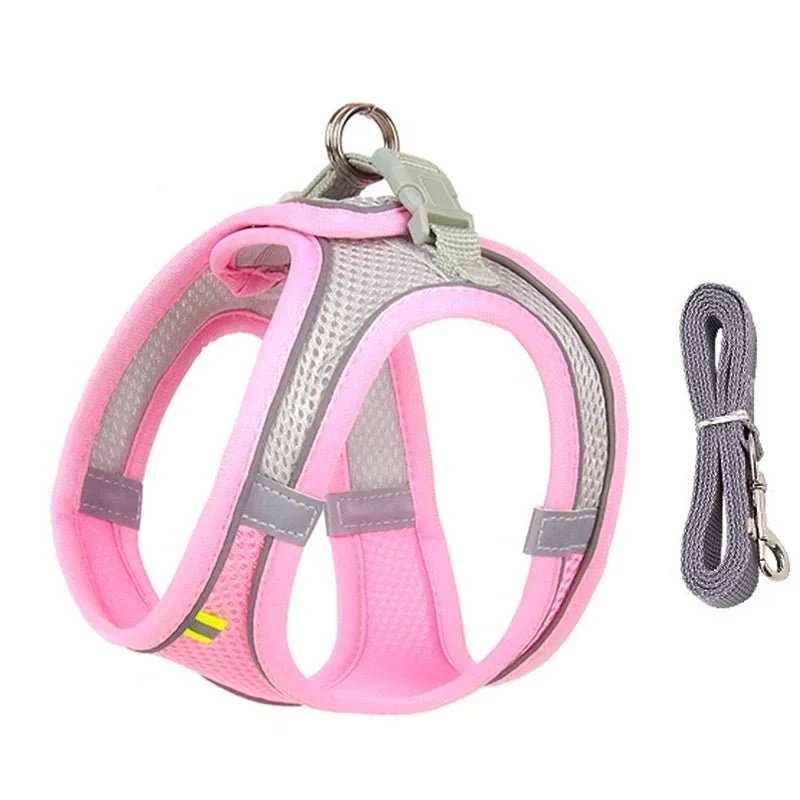 Harnais pour petit chien bichon maltai
