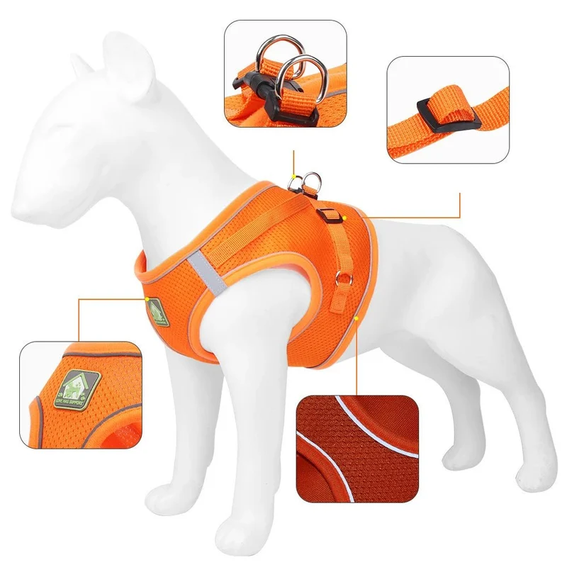 Harnais pour petit chien 4 kg