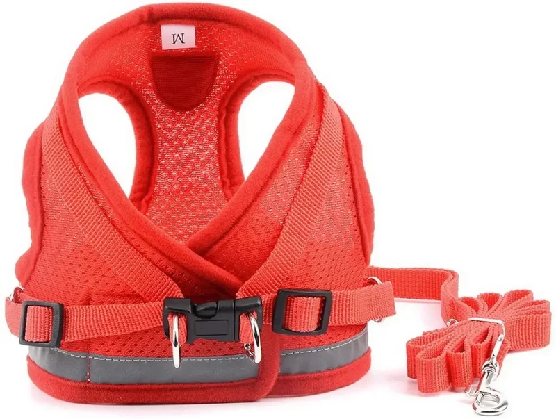 Harnais pour petit chien 6 kg
