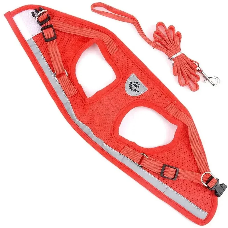 Harnais pour petit chien 6 kg