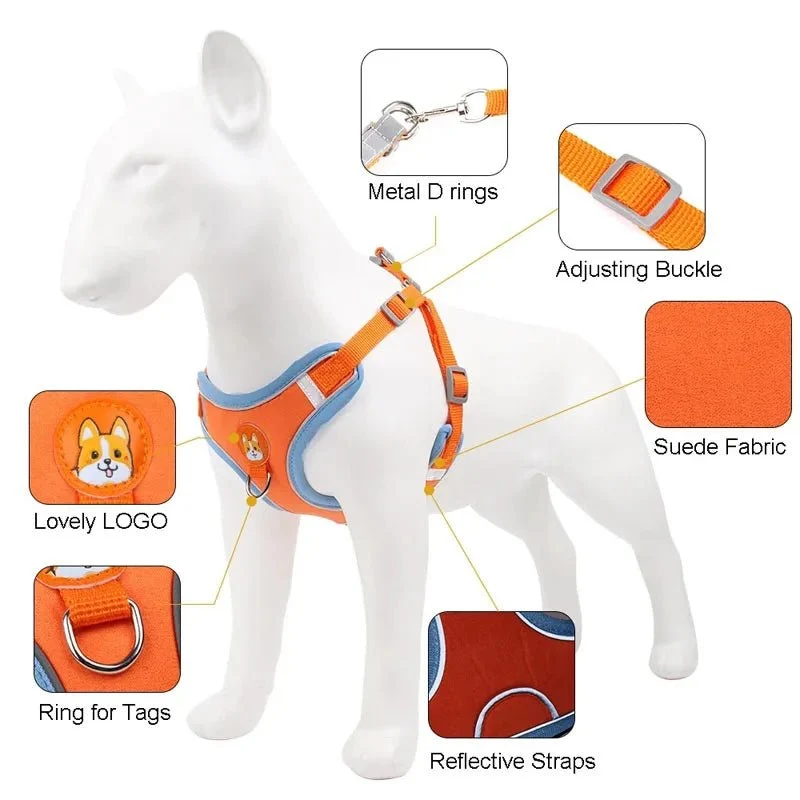 Harnais pour petit chien 5 kg