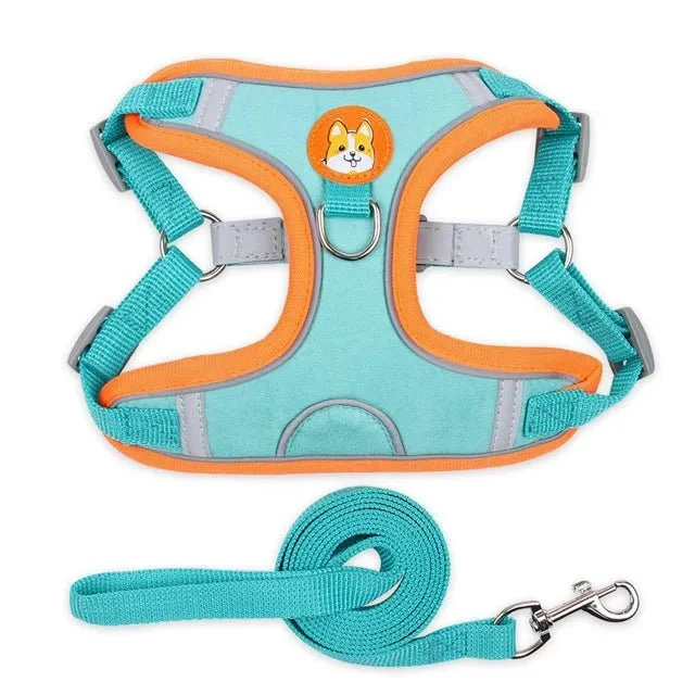 Harnais pour petit chien 5 kg