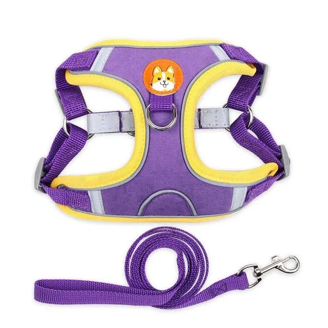 Harnais pour petit chien 5 kg