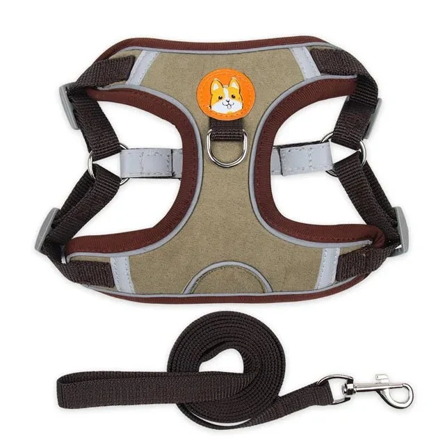 Harnais pour petit chien 5 kg