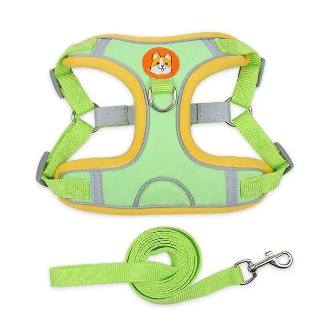 Harnais pour petit chien 5 kg
