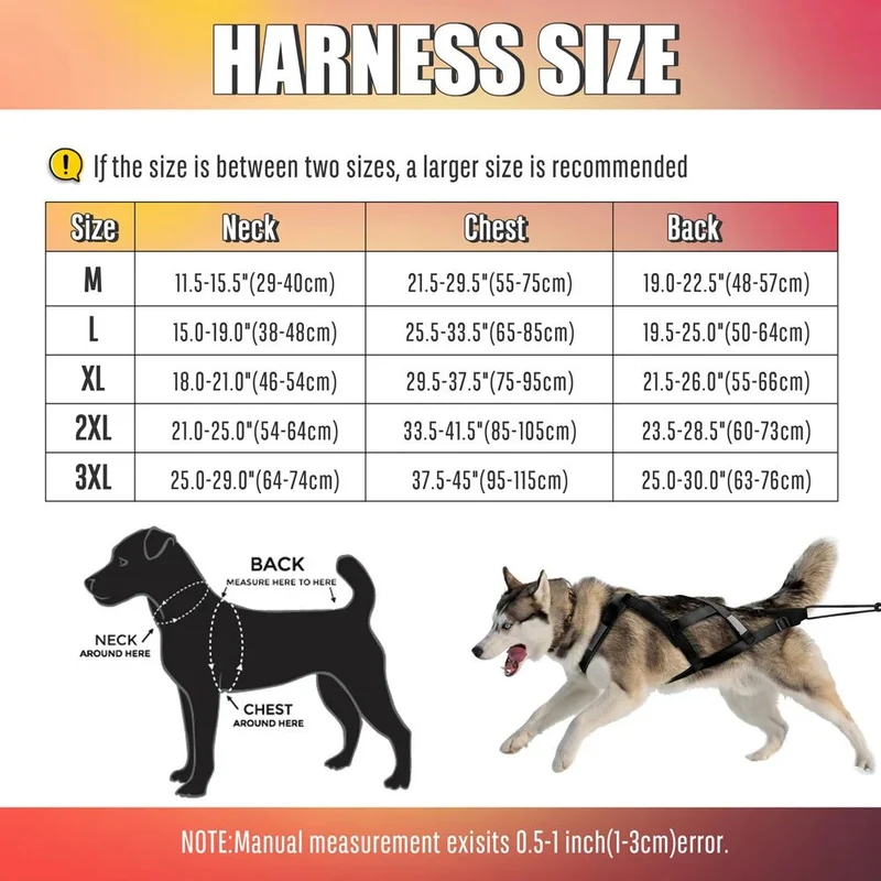 Harnais de traineau pour chien