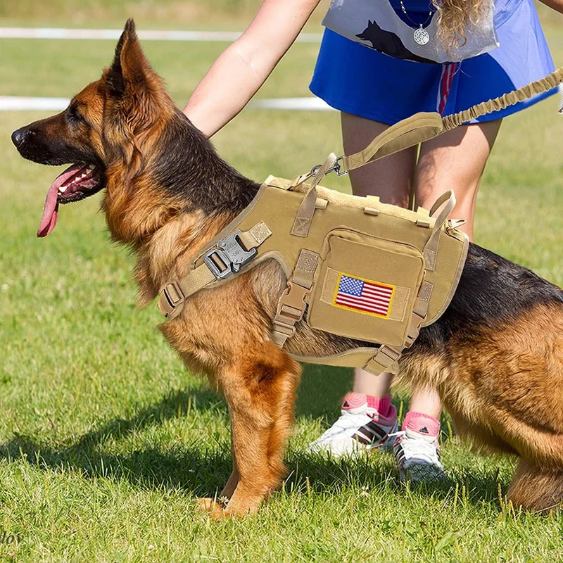 Harnais chien police