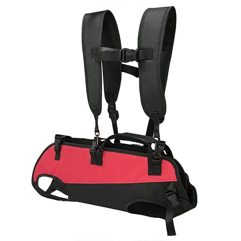 Harnais pour transporter un chien