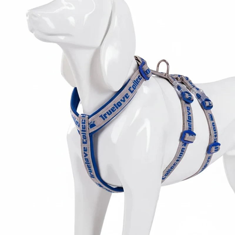 Harnais chien en t