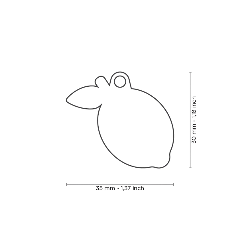 Médaille personnalisée - Food Citron - 35x30mm
