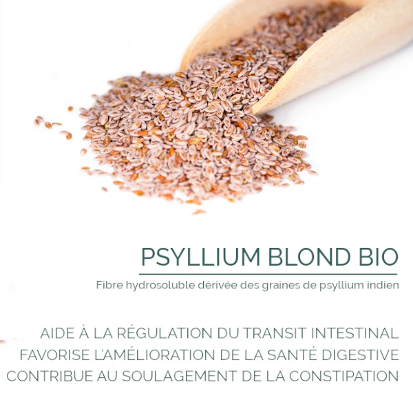 Psyllium Blond Bio : Digestion & Transit