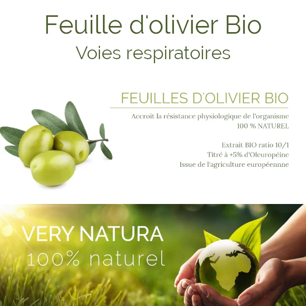 Feuilles d'Olivier Bio 5% Oléuropéine – Votre Allié Naturel pour le Cœur et l'Équilibre Tensionnel