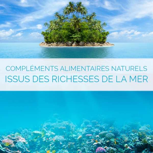 Lithothamne pur – Votre apport de calcium naturel pour des Os et Articulations en Santé