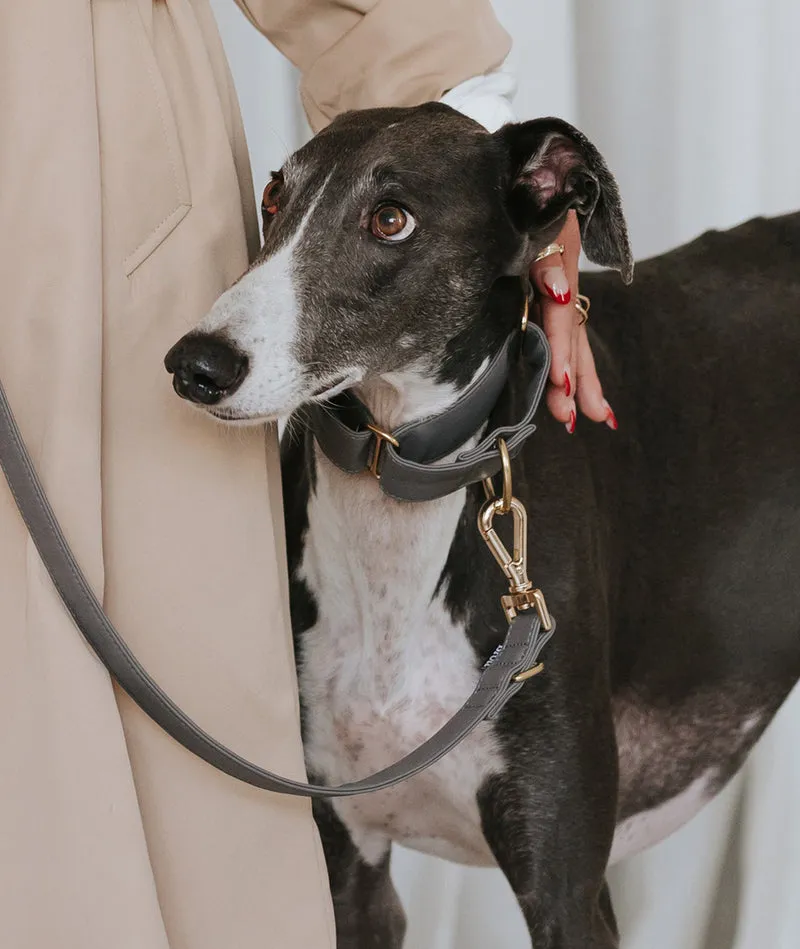 Collar Galgo Essence Grey gold
