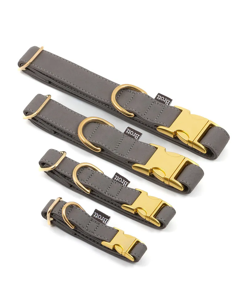 Collar perro Essence Grey gold