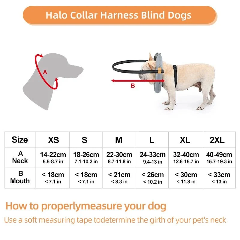Harnais chien aveugle
