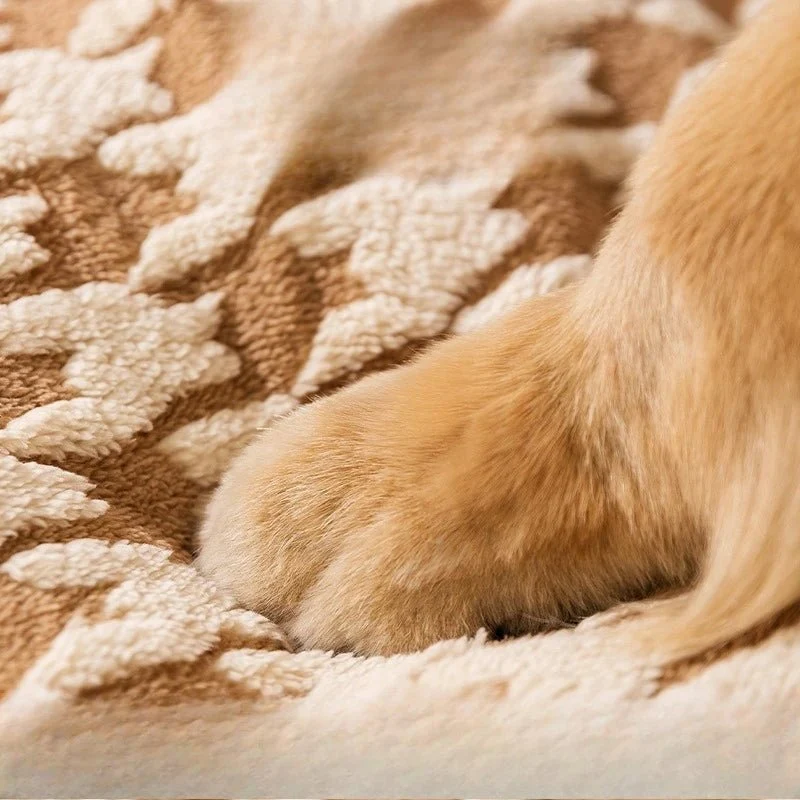 Panier avec toit pour chien