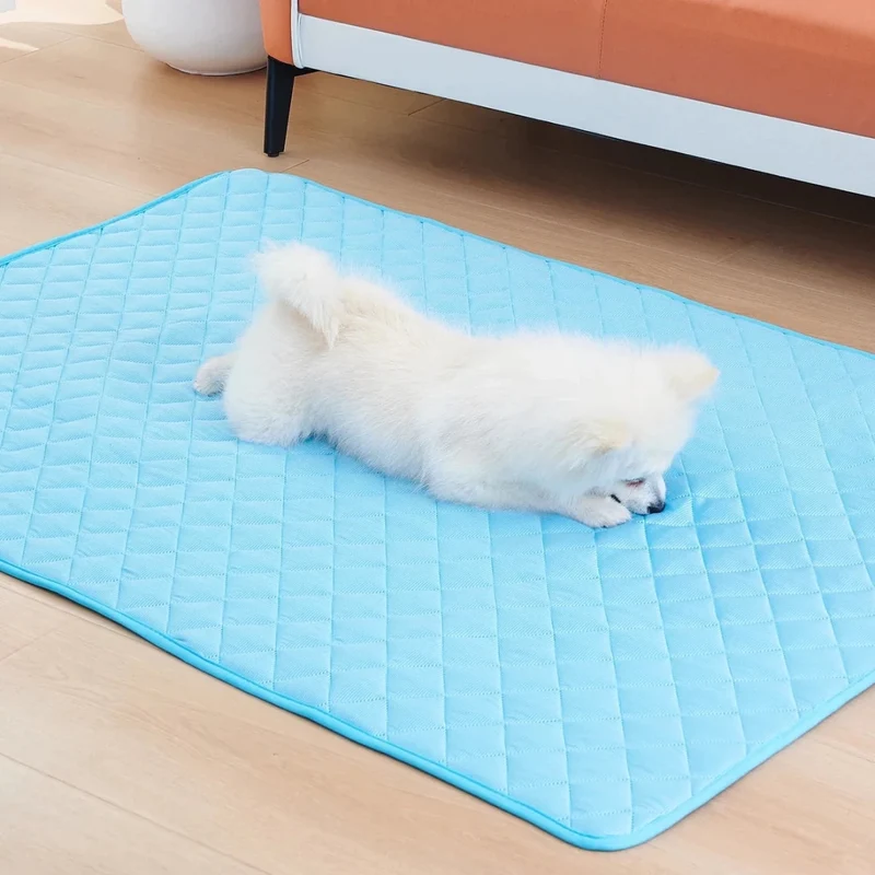 Tapis froid pour chien