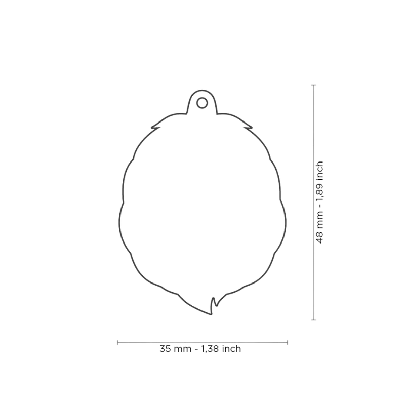 Médaille personnalisée - Wild Lion - 35x48mm