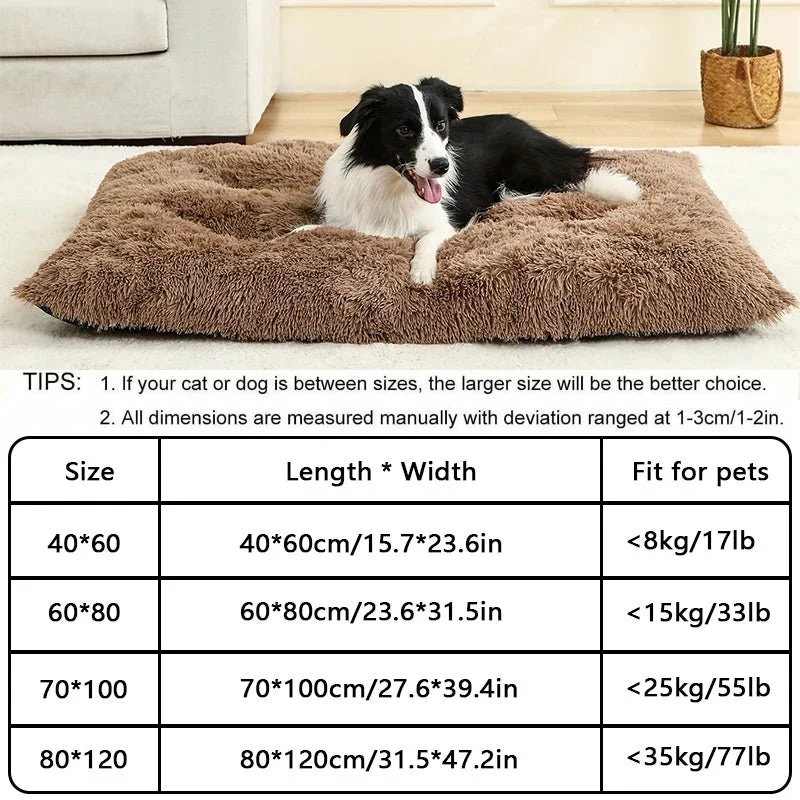 Bon panier pour chien