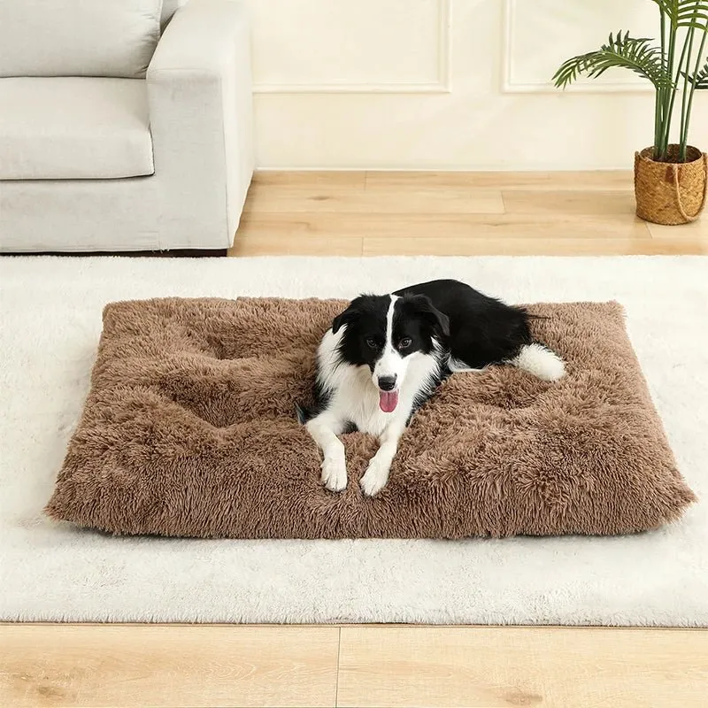 Meilleur panier pour chien xxl