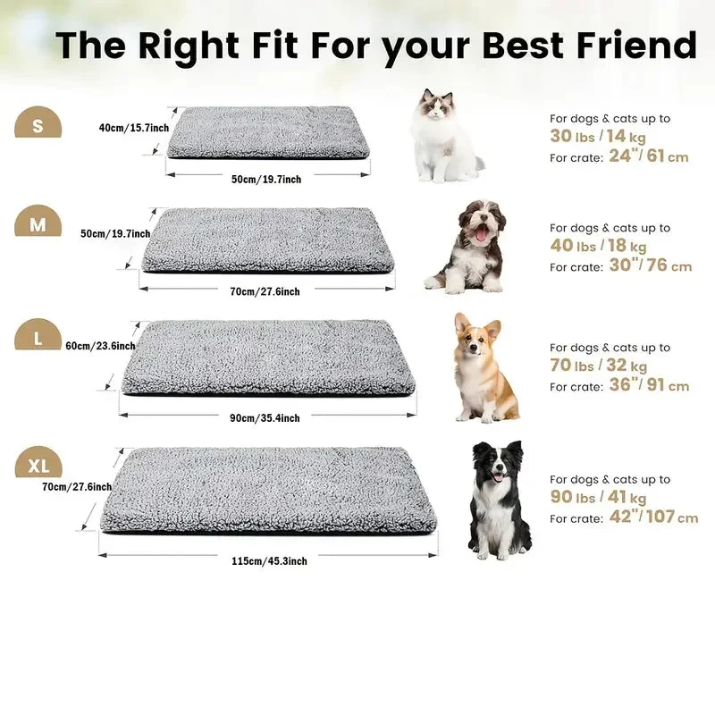 Tapis chauffant chien extérieur