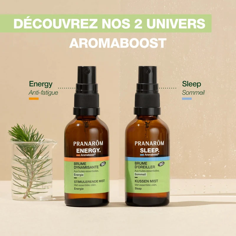 Brume dynamisante Energy - Bio