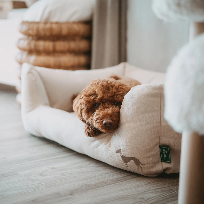 Orthopädisches/Ergonomisches Hundesofa Livo