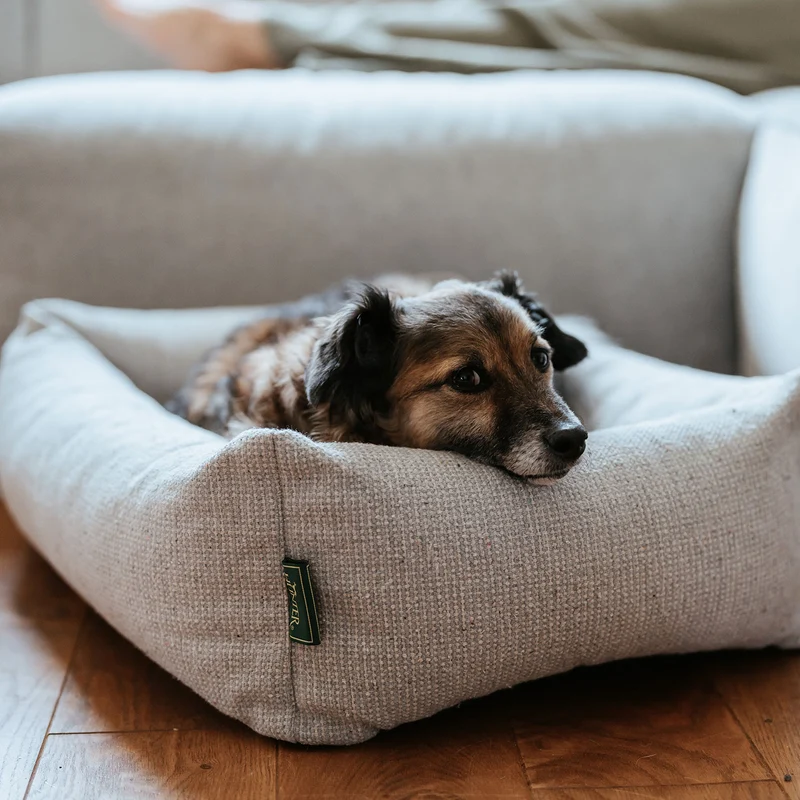 Orthopädisches/Ergonomisches Hundesofa Trosa