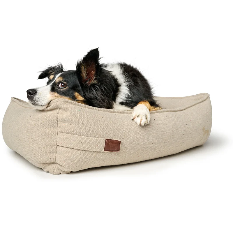 Recycling Hundesofa Belluno