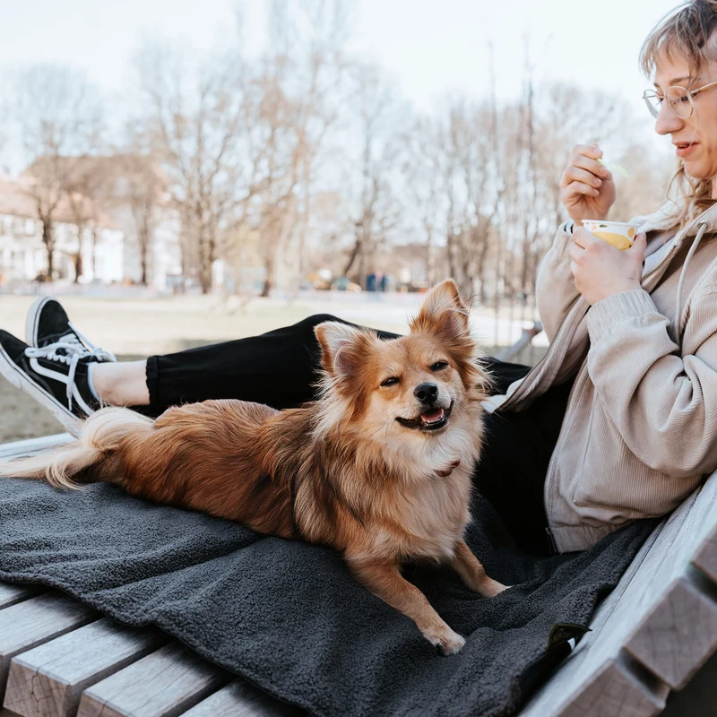 Faltbare Hunde-Reisedecke Seoul