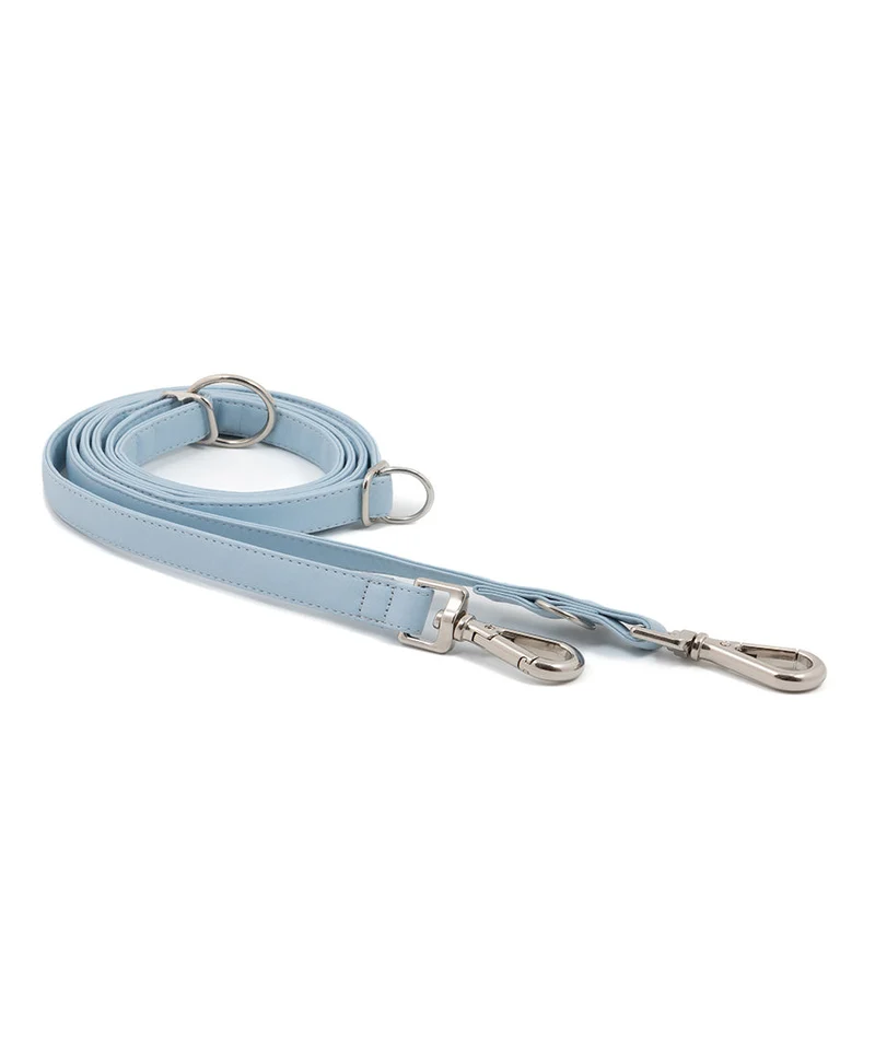 Correa perro Essence Blue Sky silver